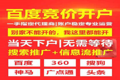 某公司通过百度竞价实现业务快速增长的案例